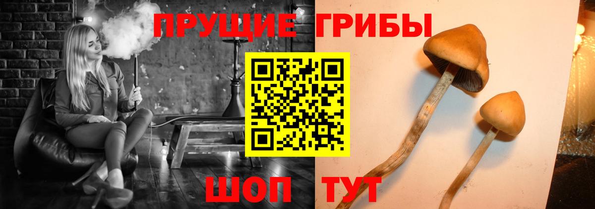 купить наркотик  Вход с VPN  Фурманов  Псилоцибиновые грибы мухоморы  Галлюциногенные грибы Magic Shrooms 
